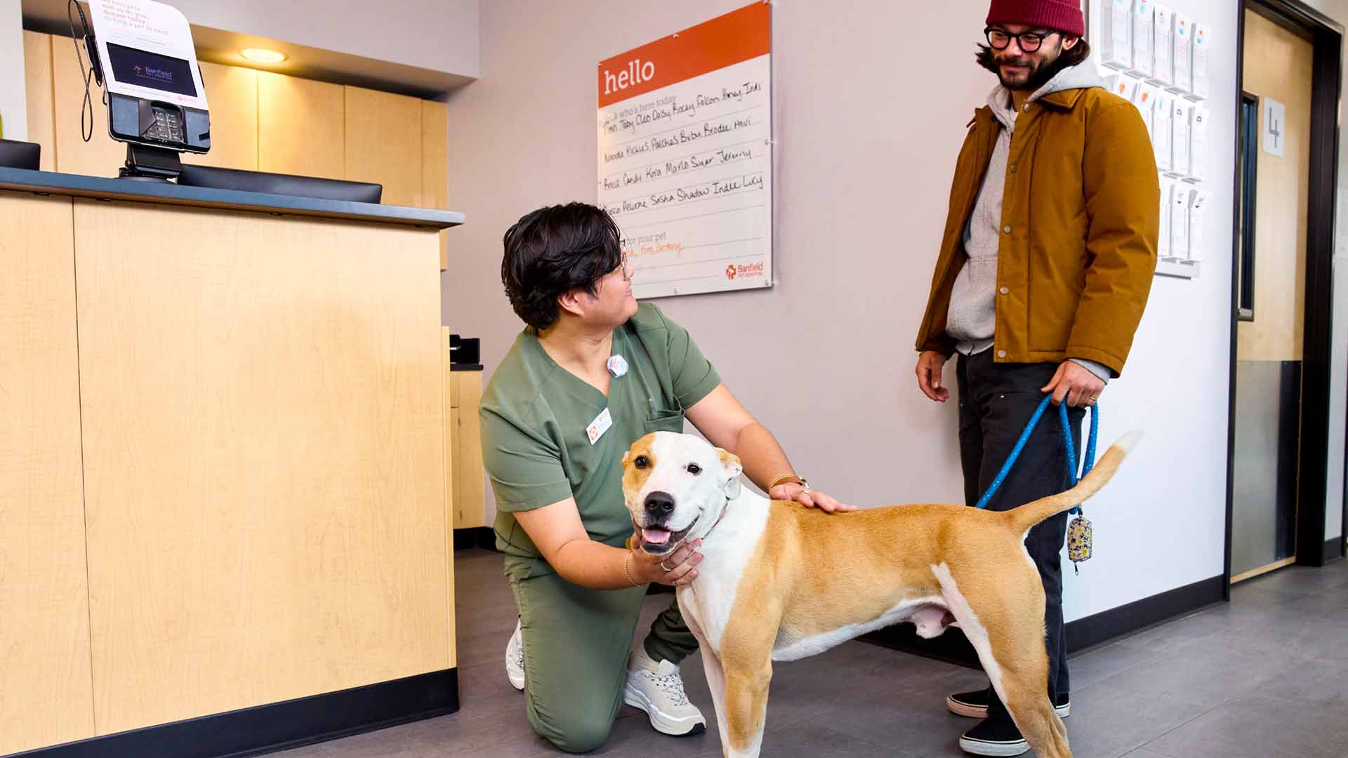 A brown and white Bull Terrier greeted by a CSC