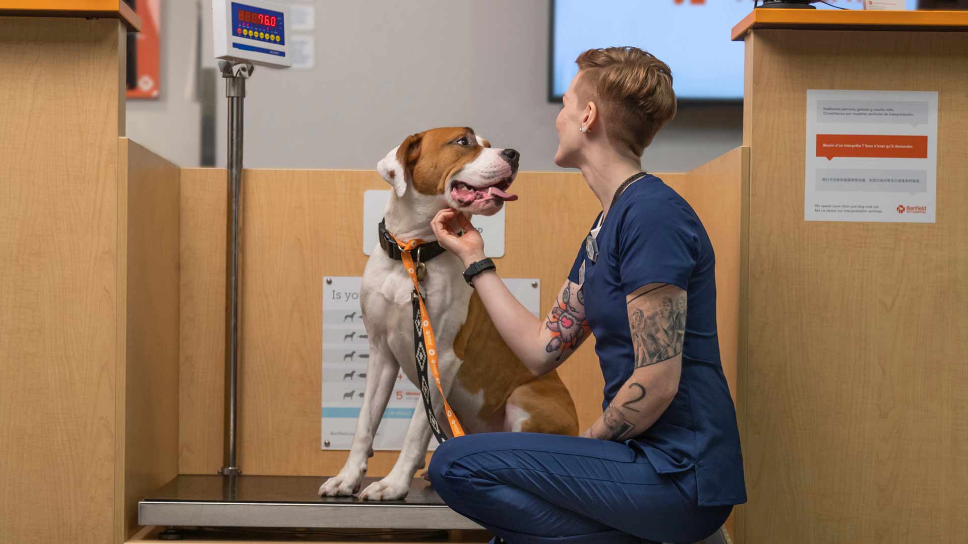 A Banfield vet tech petting a puppy on a scale