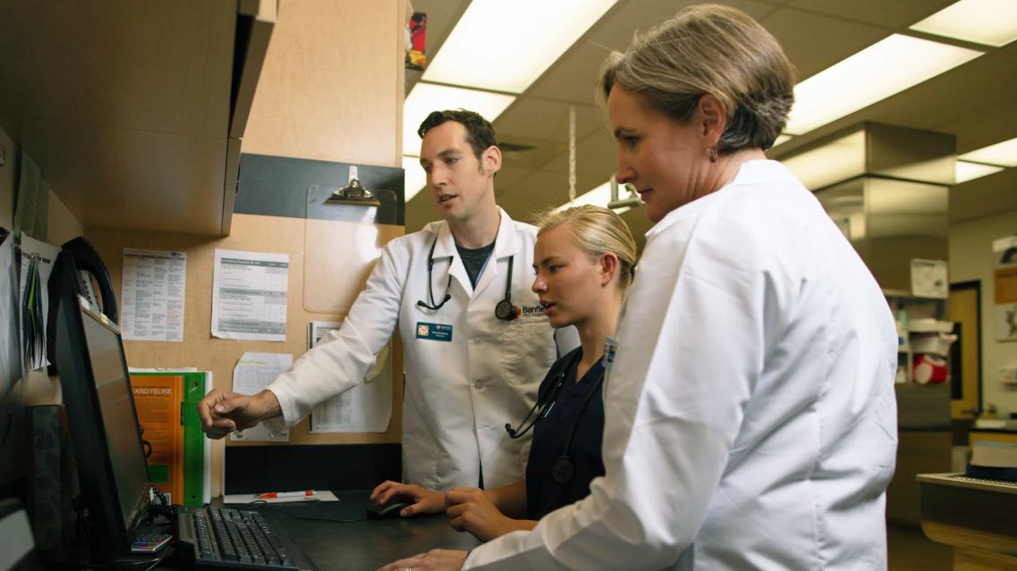 Doctors checking reports on Desktop