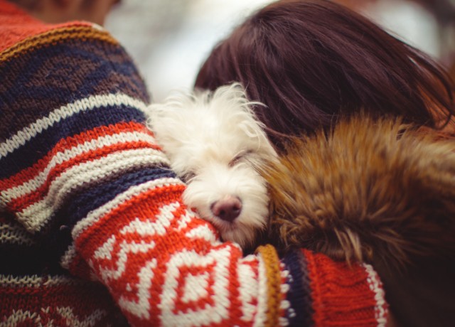 couple hugging a dog