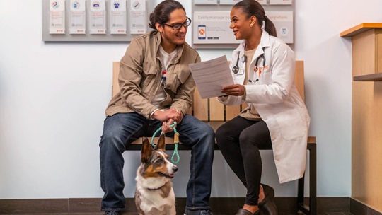 a vet talking to a pet owner