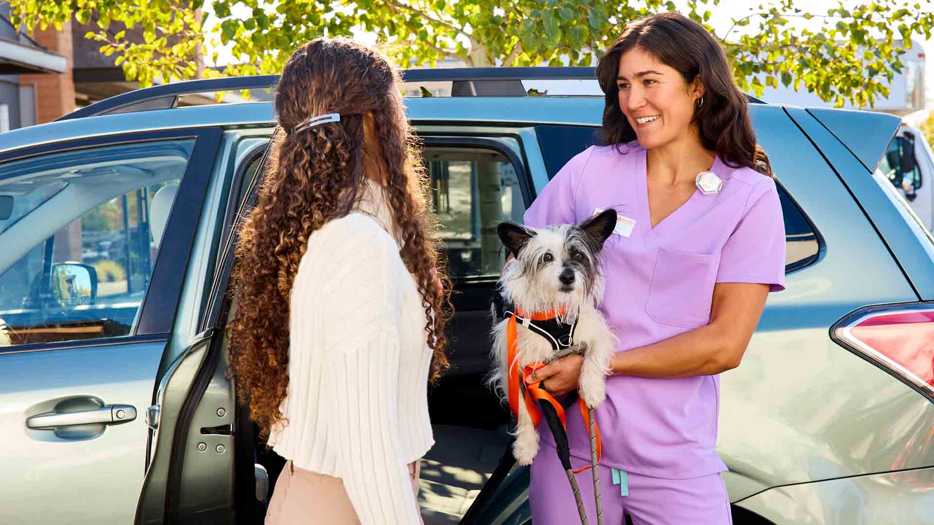a dog held by a vet tech