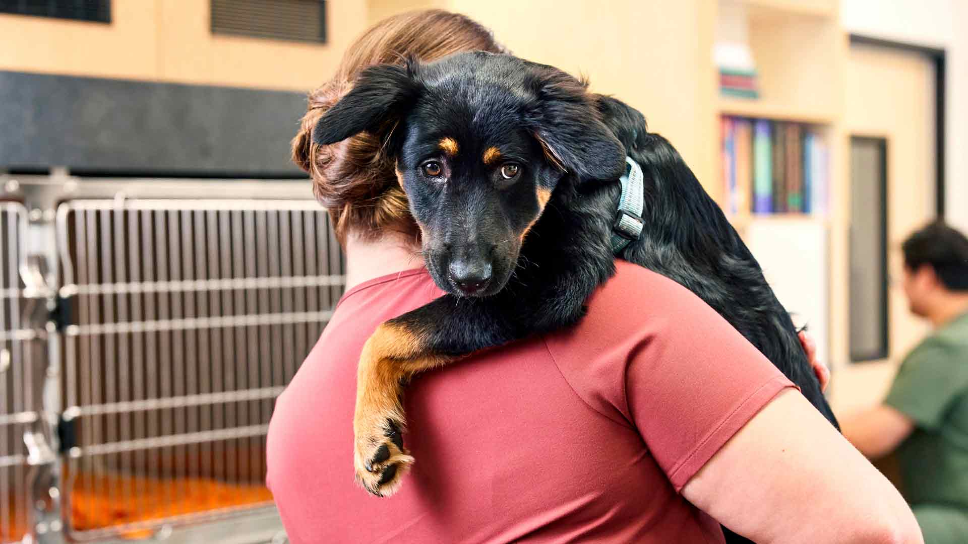 A vet tech hugging a dog