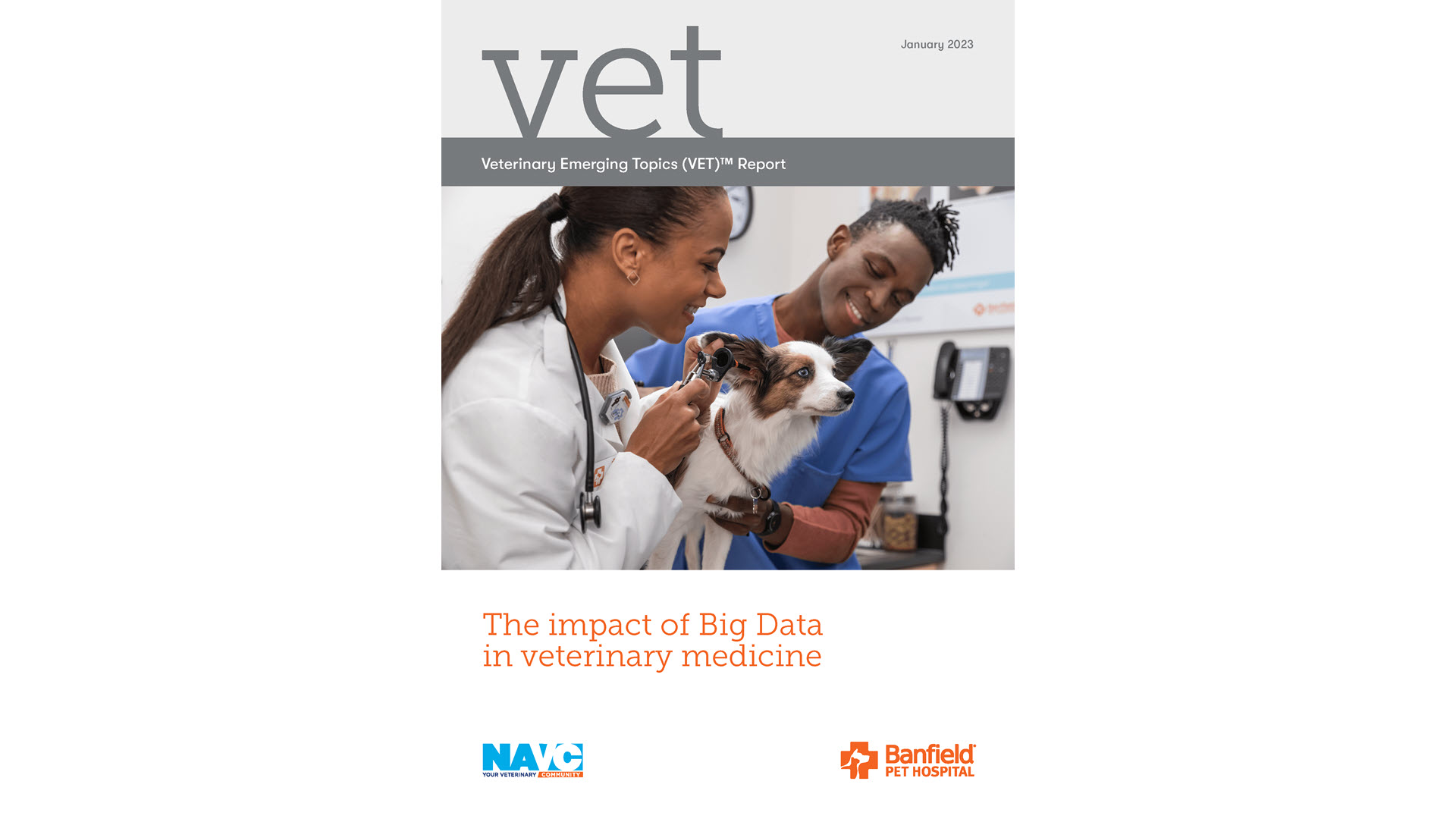 The 2023 Banfield Exchange VET Report cover