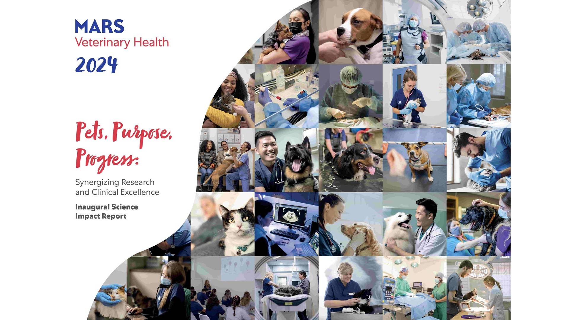 MVH Science Report cover