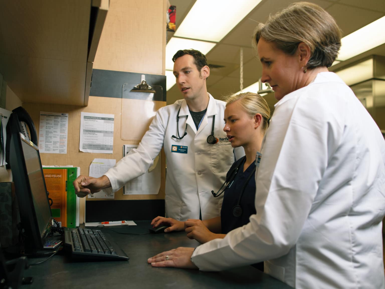 Doctors checking reports on Desktop