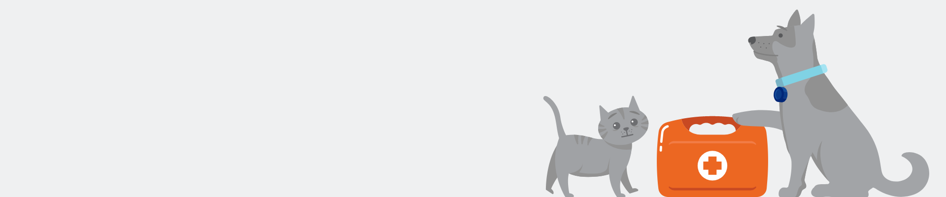 Pets with First aid Kit