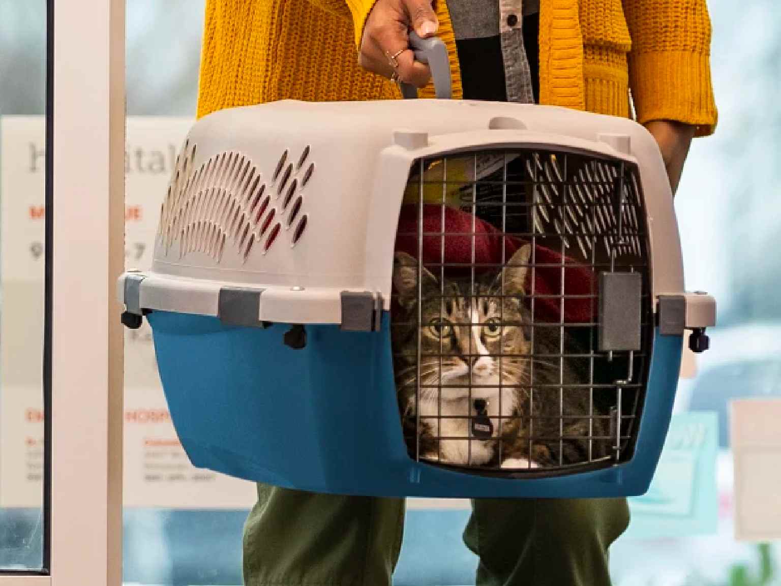 A cat owner carrying her cat in a crate