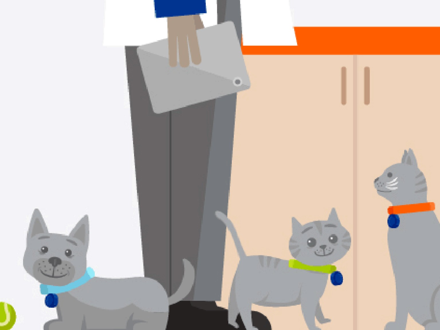 Vector graphic of a puppy, a kitten, a cat, a dog and a veterinarian at the Banfield Pet Hospital